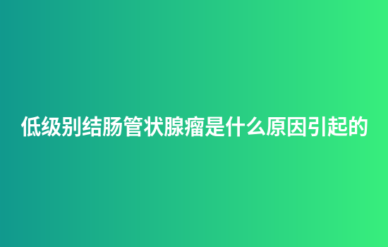 低级别结肠管状腺瘤是什么原因引起的