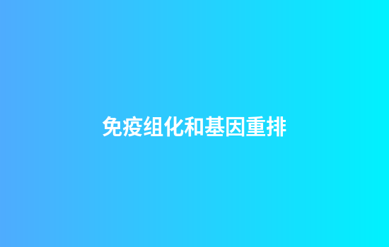 免疫组化和基因重排