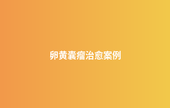 卵黄囊瘤治愈案例