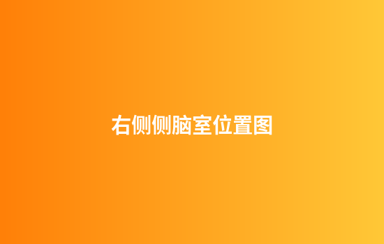 右侧侧脑室位置图