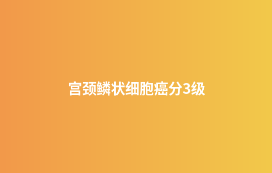 宫颈鳞状细胞癌分3级