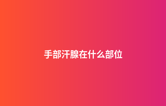 手部汗腺在什么部位