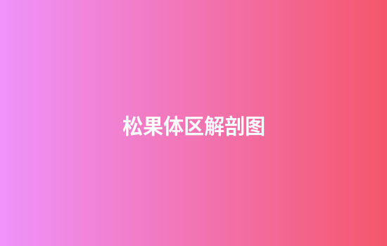 松果体区解剖图