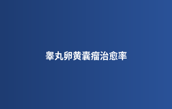 睾丸卵黄囊瘤治愈率