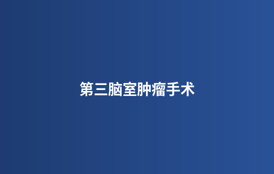 第三脑室肿瘤手术