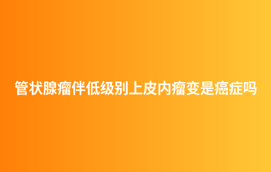 管状腺瘤伴低级别上皮内瘤变是癌症吗
