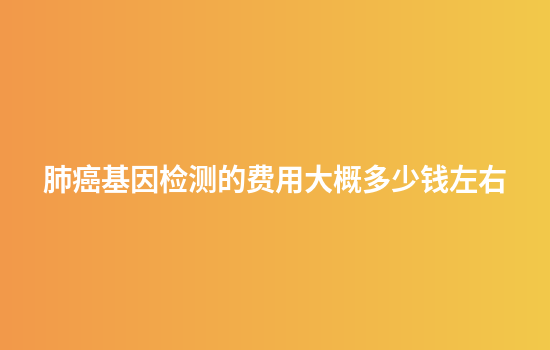 肺癌基因检测的费用大概多少钱左右