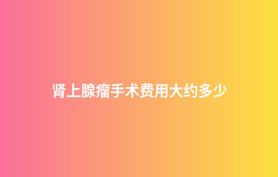 肾上腺瘤手术费用大约多少