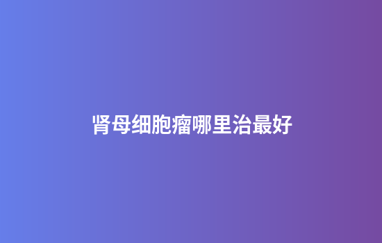 肾母细胞瘤哪里治最好