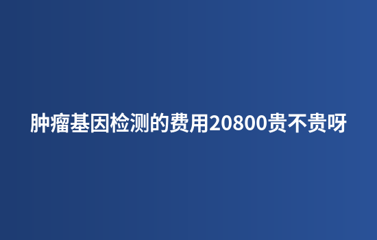 肿瘤基因检测的费用20800贵不贵呀