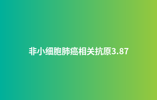 非小细胞肺癌相关抗原3.87