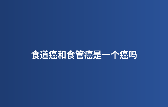 食道癌和食管癌是一个癌吗